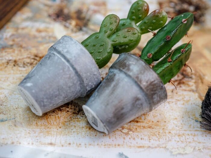 筆に残った塗料はサボテンにもペイント