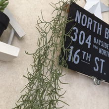 本当に100均⁉フェイクに見えないフェイクグリーン♪