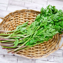 春の旬食材♡香り豊かで鮮やかグリーンに!セリの茹で方