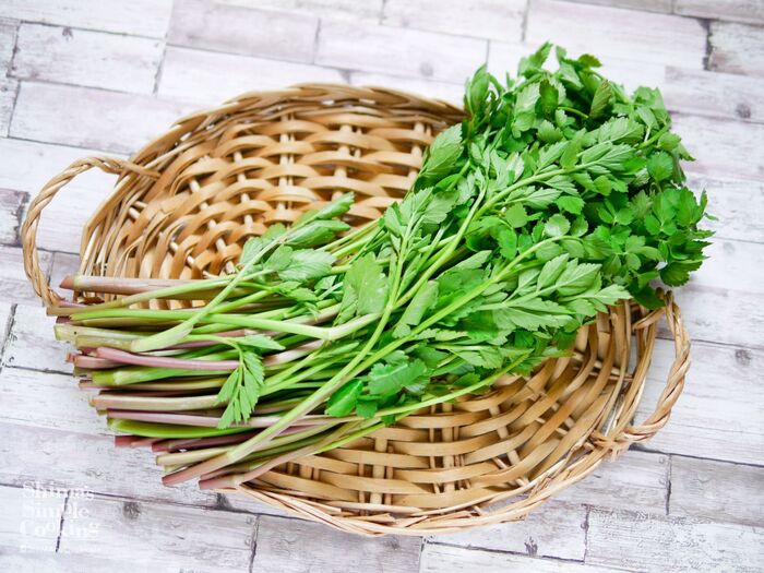 春の旬食材♡香り豊かで鮮やかグリーンに!セリの茹で方