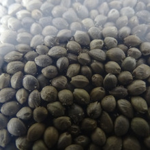 marijuana なのに・・・・スーパーフード???