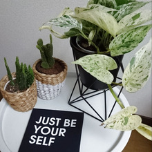 プチプラで海外インテリア風♪おしゃれなポットスタンド