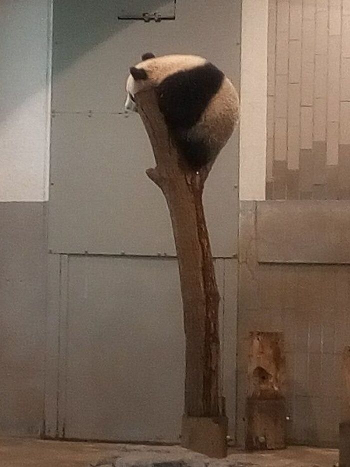いよいよ順番が