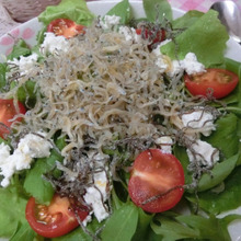 かけるのはごま油だけ♪ もりもりじゃこチーズサラダ