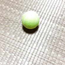 私の足裏マッサージは100均のテニスボール?で!