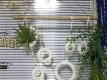 100均とプラリングで飾って楽しいエアープランツホルダーをDIY