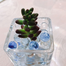 簡単に多肉植物を春らしく植え替え♬