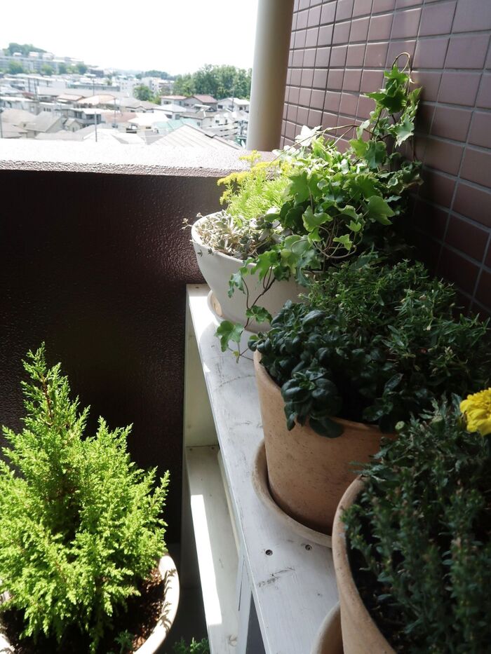 限られた空間でもDIYで癒しの空間に