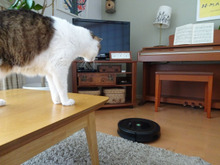 ほんとに便利?床掃除は楽になる?ルンバ一週間お試しレポ!