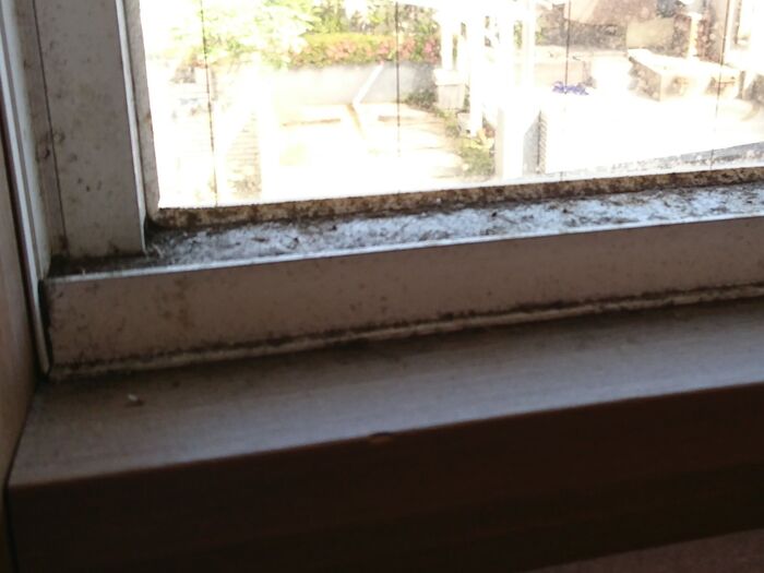 一番汚れている場所はここ!