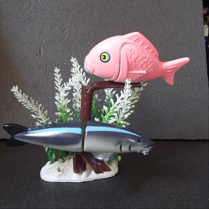 4、魚を台に乗せて位置を調整する。