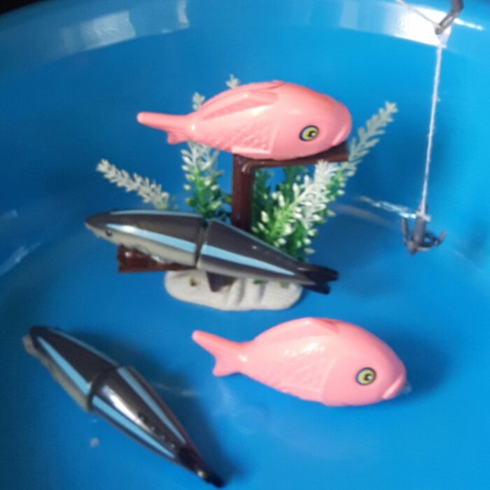 6、タライに入れて遊ぶ。