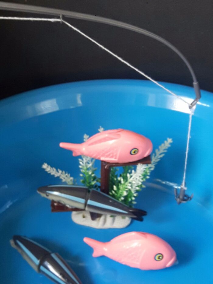 夏の暑い日に孫と100均の材料で魚釣り遊びをしてみました。