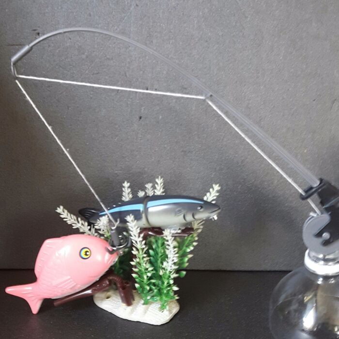 5、魚を釣り竿で釣り上げてみる。