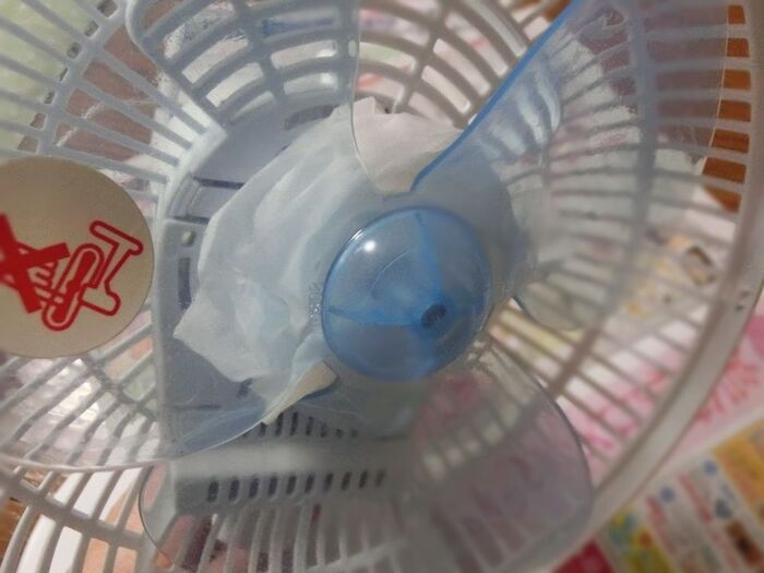 カバーと羽にスプレー