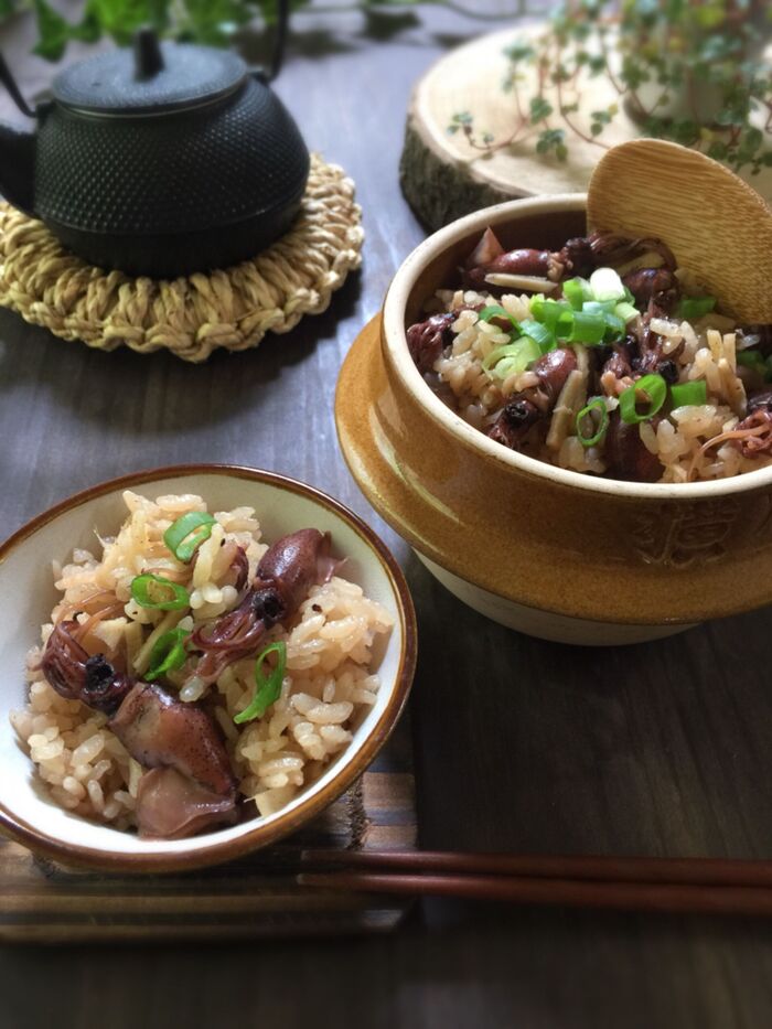 ホタルイカご飯