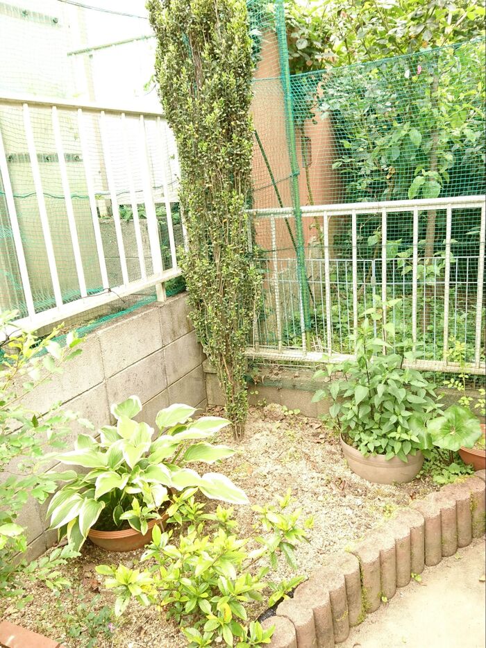 花壇にして、適当に植栽