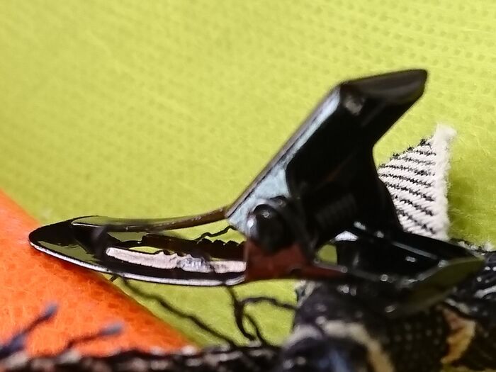 100均のヘアクリップ