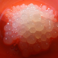 グレープフルーツのいくら(企みパーツその1)