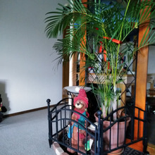 なんちゃってパティオ⛲おうちの中に癒やしの空間✨