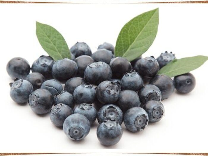 目に良いだけじゃない!ブルーベリーは美肌の味方!?