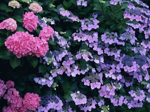 【6月の肌占い】お肌のタイプと血液型から占います!