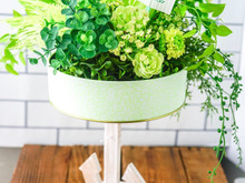 お菓子の空き缶で!刺すだけ接着もなんにも要らずに作れちゃう”グリーンアレンジ”