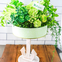 お菓子の空き缶で!刺すだけ接着もなんにも要らずに作れちゃう”グリーンアレンジ”