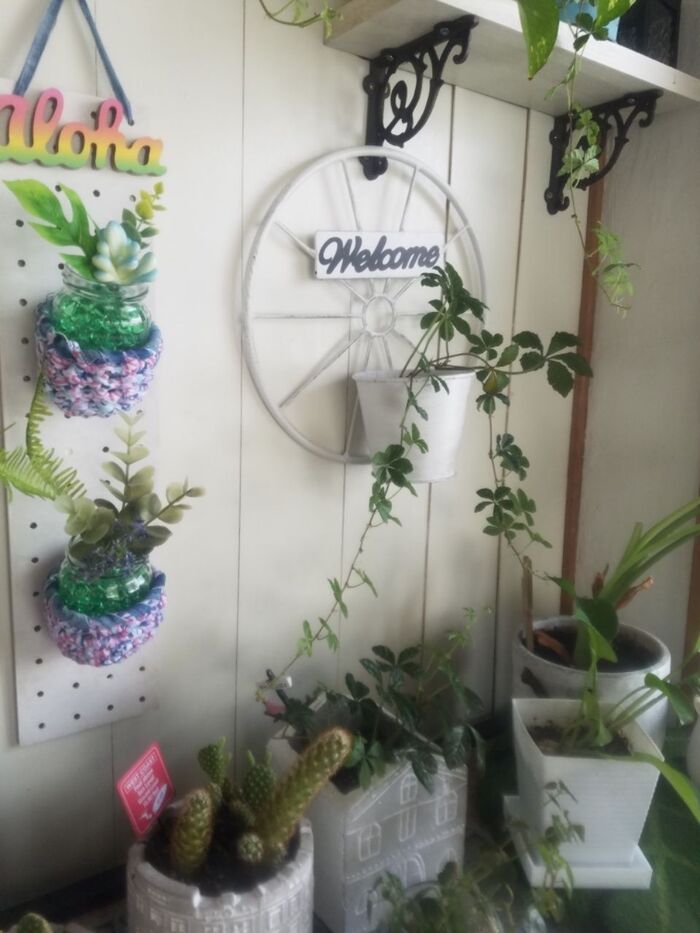 捨てないで!空きびんと100均でリメイク⭐お部屋から虫さらば~