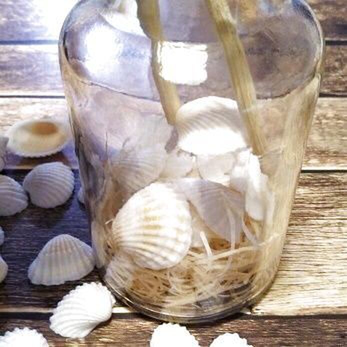 二枚貝を積みます。