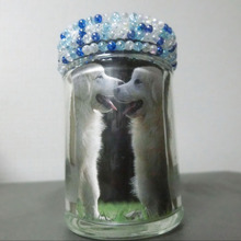 空きビンとビーズで360度見える♪ アロマなビンのフォトスタンド