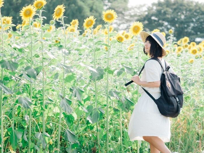 相手も大喜び♪「帰省のお土産」3つのポイント