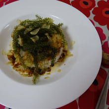 温玉とカツヲ香るGreen caviar 丼 現る!!