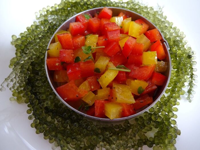 セルクルに詰める。