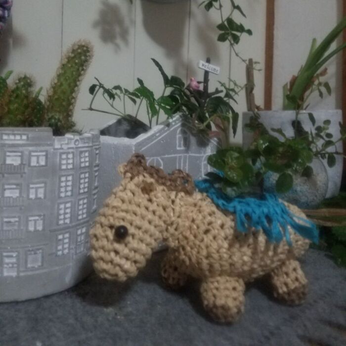 本を見てポニーを作り