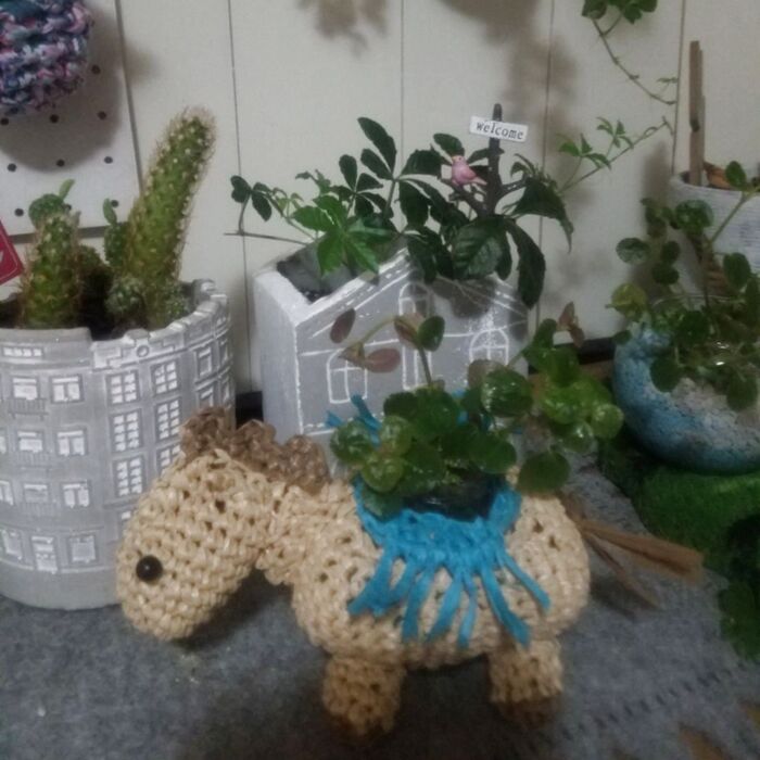 【空きびんリメイク】お気に入りのグリーンを増殖!ポニーのプランターをDIY