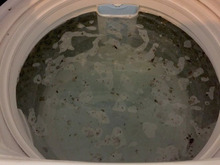 意外と簡単!【洗濯槽の掃除】洗剤の種類(塩素・酸素系)と掃除方法