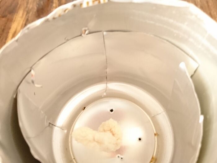 切り込みを少し内側にして入れる