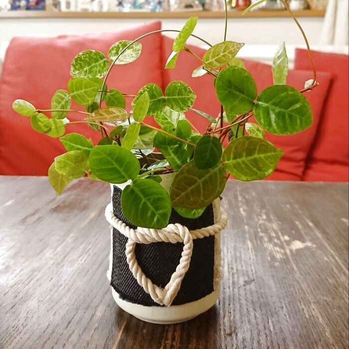 =改善版=空き缶リメイク★二重底で水切れ防止!!