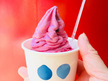 さっぱりして美味しい!吉祥寺ウッドベリーズの生フローズンヨーグルト