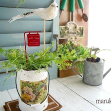 空き缶で作る♪フレンチミニガーデン