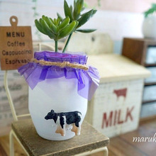 ジャムの空きビンで♪牛乳瓶に変身した❤多肉用ポット