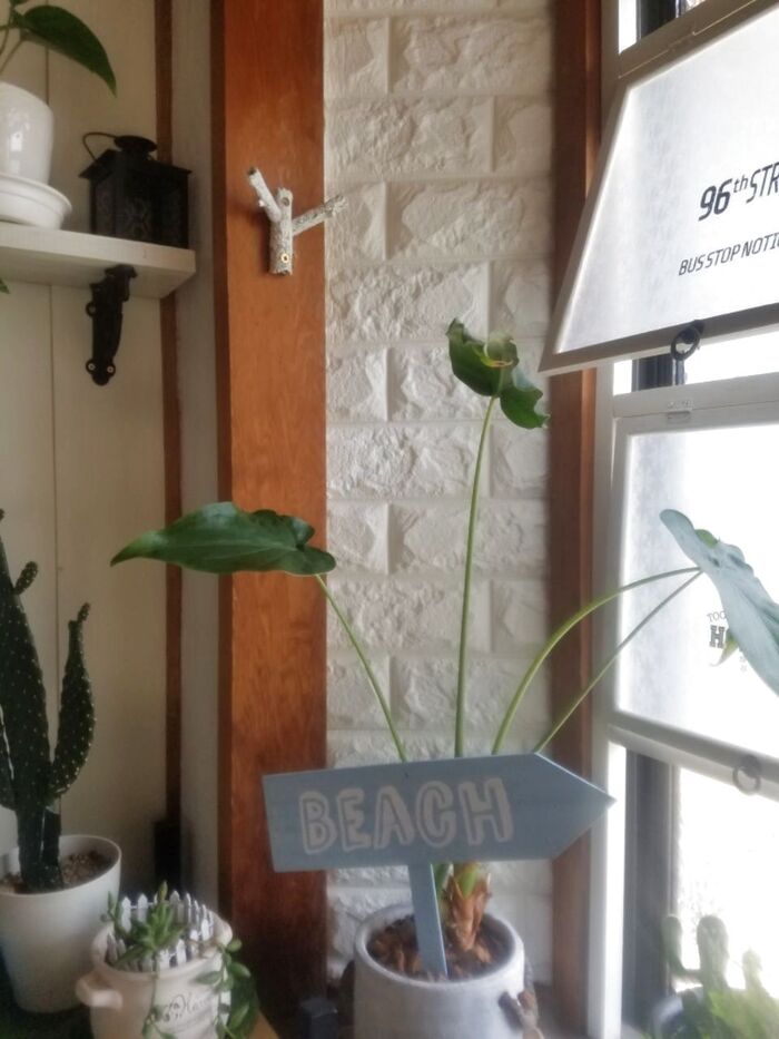 【貼るだけDIY】クッションブリックシート1枚で玄関の悩み解決!