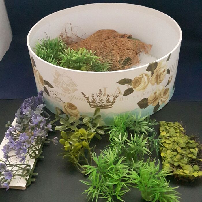 2、水辺の植物をボックスの中に飾る。