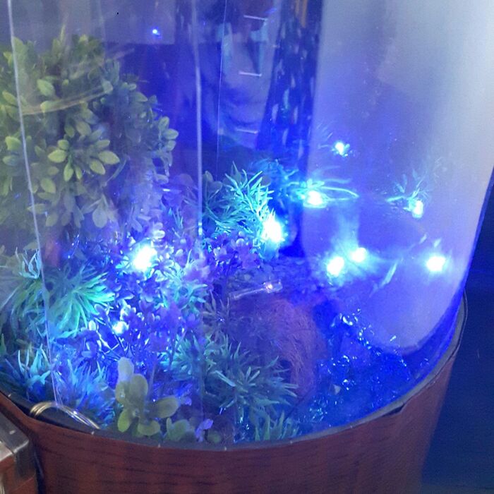 3、LED電飾を点灯して全体の位置を調整する。