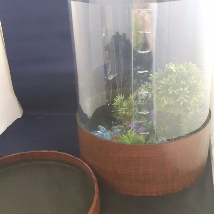 1、「ホタルのいる水辺」を飾るショーケースを作る。