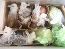 100均クラフトバッグを使って、野菜室を機能的に整理収納。