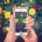 【おすすめアプリ】家計のやりくりに役立つアプリ8選