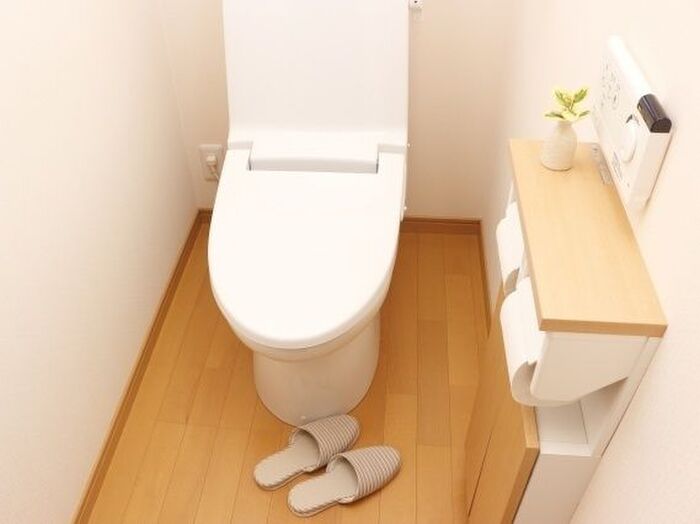 もしかして見落としてない?こまめにすべきはトイレの壁掃除