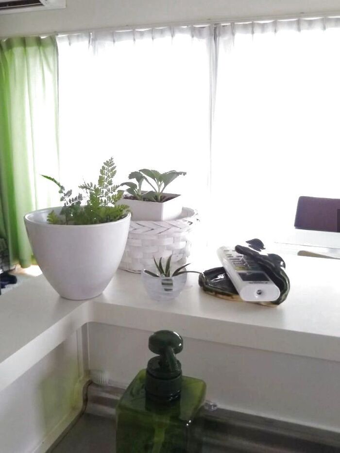 反対側からのショット